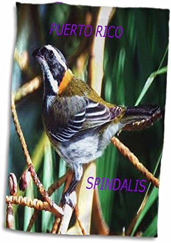 3 דרוז ציפורי מדינת פלורן - הציפור הלאומית של פורטו ריקו ספינדליס - מגבות