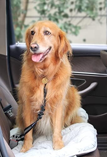 2 חבילה כלב חגורת בטיחות מתכוונן כלב רכב חגורות בטיחות לרכב ניילון לחיות מחמד בטיחות חגורת בטיחות עם אלסטי באנג ' י חיץ רעיוני & מגבר; עמיד רכב לרתום לכלבים